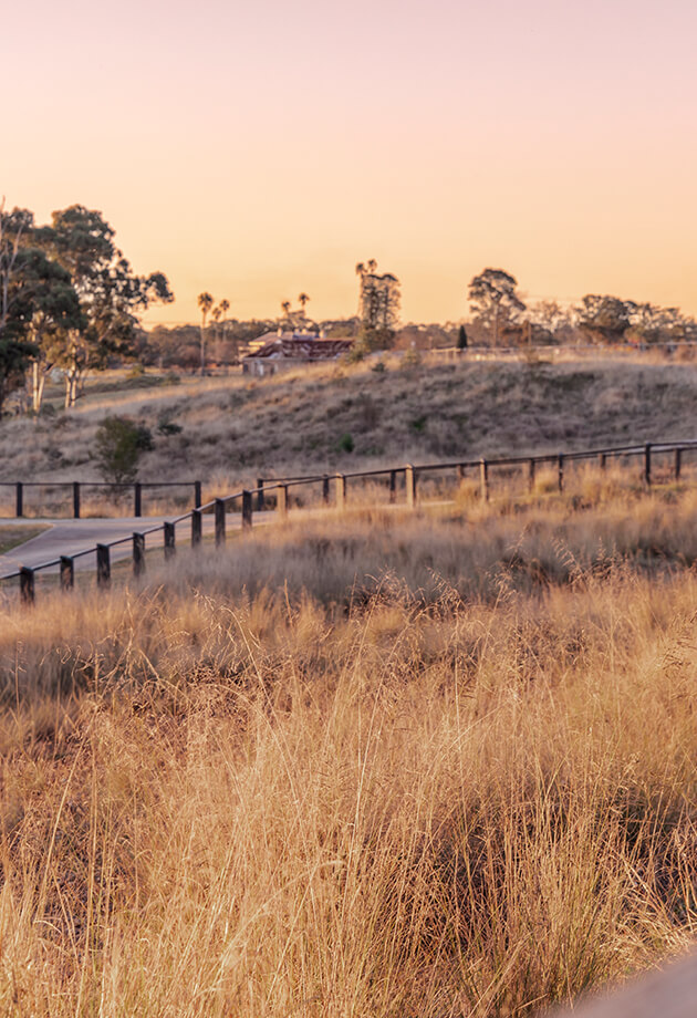 Poets Reach Lifestyle 01