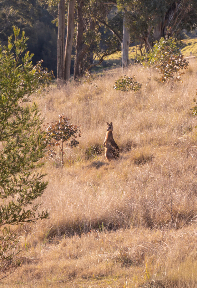 Poets Reach Lifestyle 03